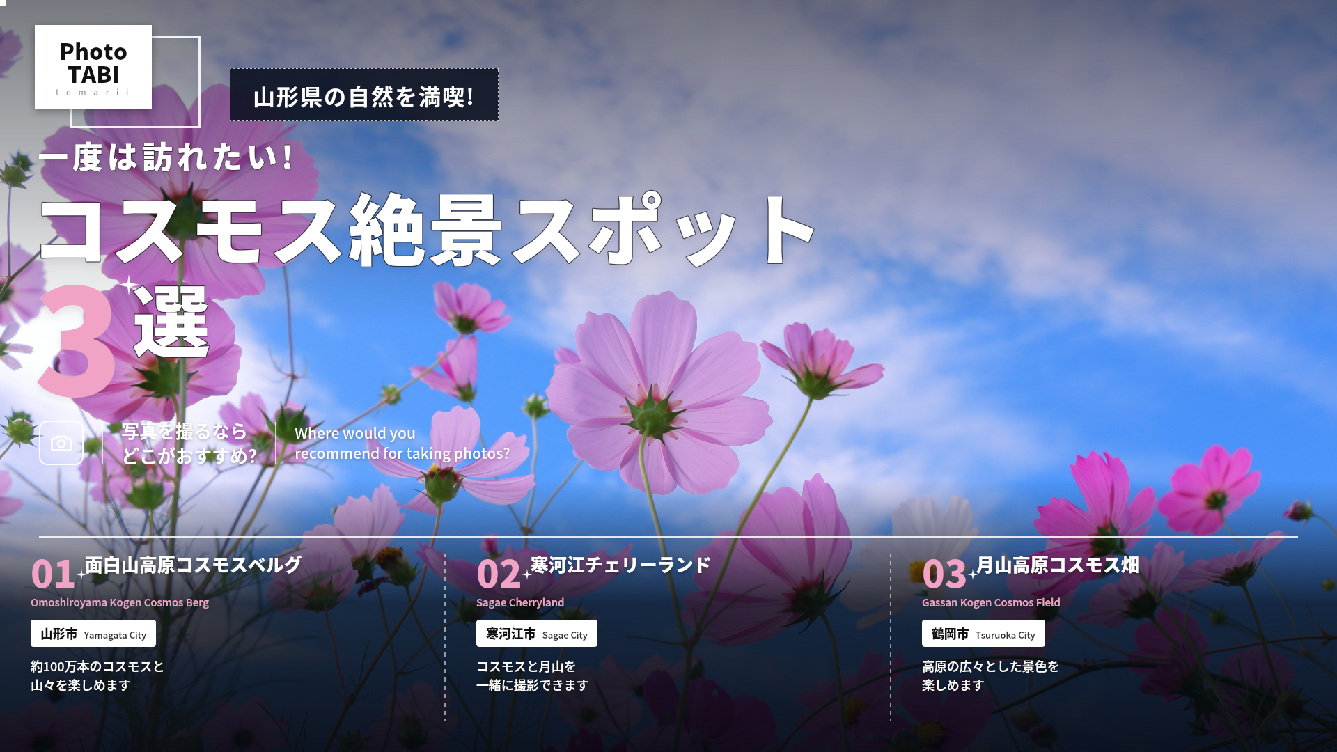 山形県のコスモススポット