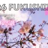 福島の早咲き桜のアイキャッチ画像