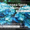 あじさいの写真