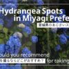 宮城あじさいスポットのアイキャッチ