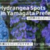 山形県あじさいスポット3選の写真